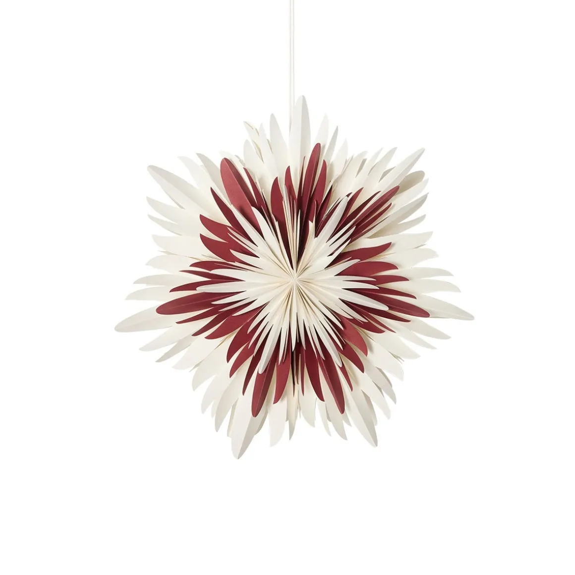 Adventsstjärna Duo 45cm Vit/Röd