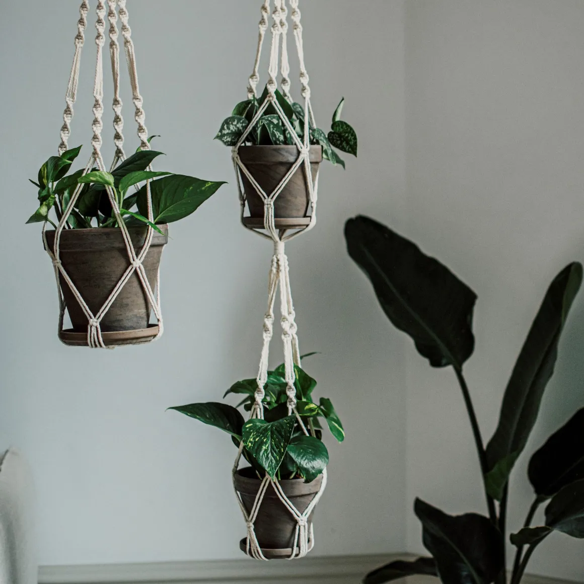 Ampel Enkel Makramé Vit