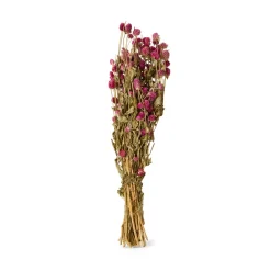Bukett Gomphrena Torkad 55cm Rosa