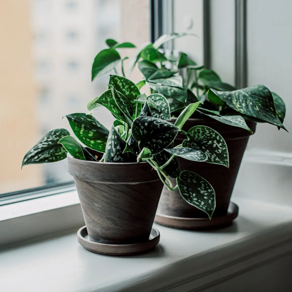 Fat Terrakotta 14,5cm Grå