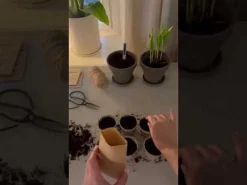 Fiberkruka Papper 10-p