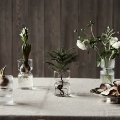 Hyacint Vas Klarglas Räfflad Stor