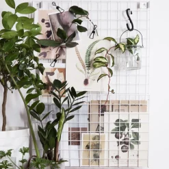 Klämma Enkel 5-p Svart