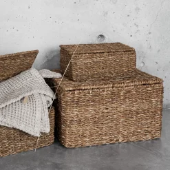 Korg Hogla Lock 32x38cm