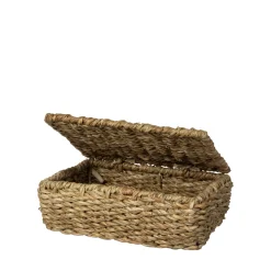 Korg Hogla Lock 17x25cm