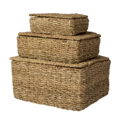 Korg Hogla Lock 17x25cm