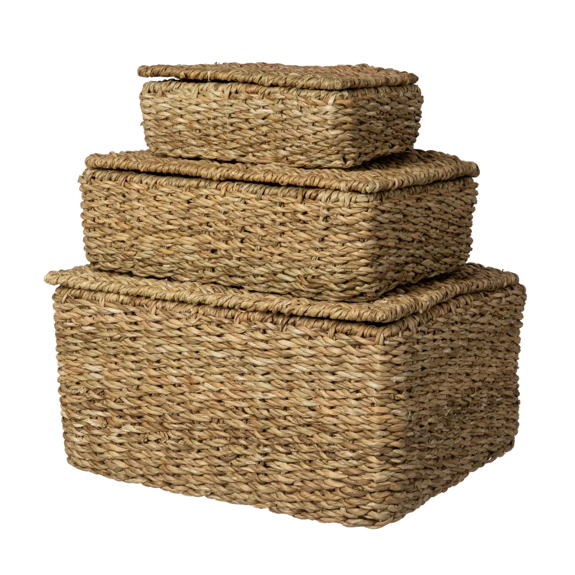 Korg Hogla Lock 17x25cm