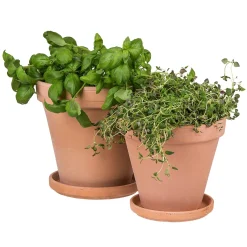 Kruka Terrakotta 18cm