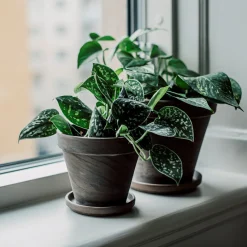 Kruka Terrakotta 18cm Grå