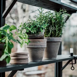 Kruka Terrakotta 13,5cm Grå