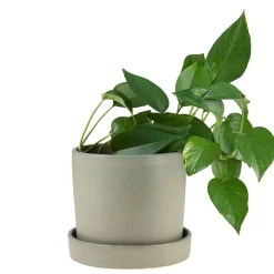 Kruka/Fat Stengods 17,5cm Grön