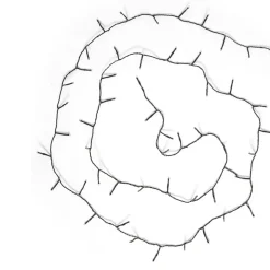 Ljusslinga Kluster 10m Svart